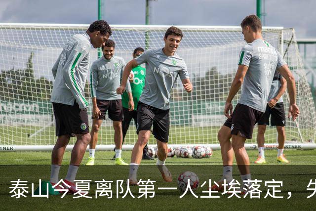 泰山今夏离队第一人尘埃落定，失意国脚租借武汉三镇，财务细节曝光